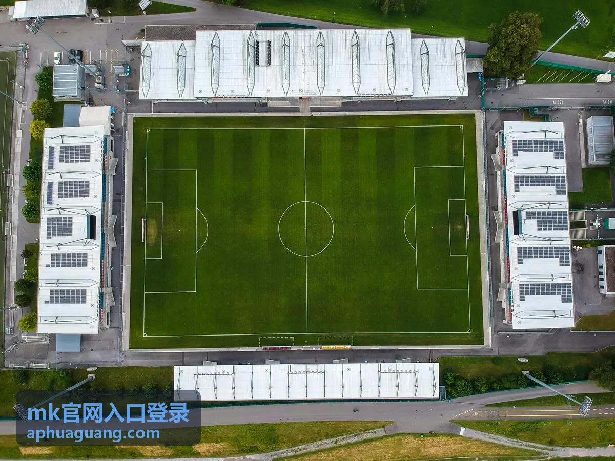 MK官网入口登录新版登录界面功能展示图