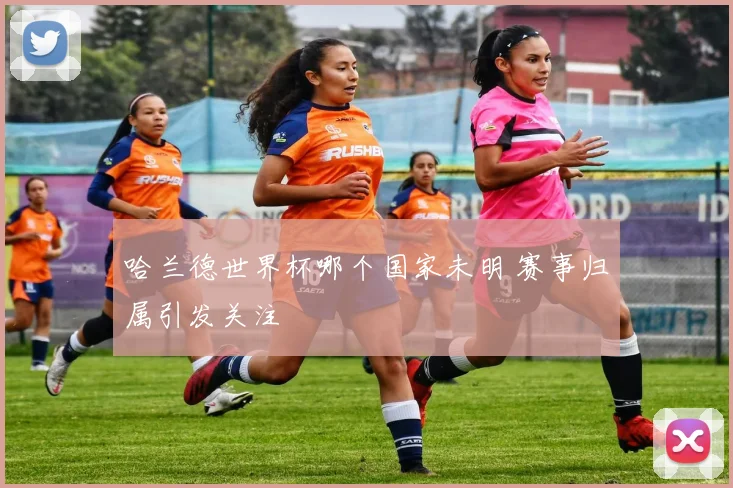 哈兰德世界杯哪个国家未明 赛事归属引发关注