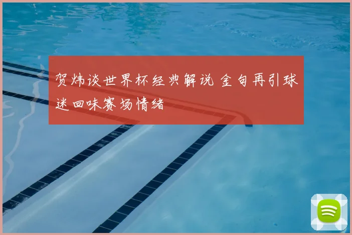 贺炜谈世界杯经典解说 金句再引球迷回味赛场情绪